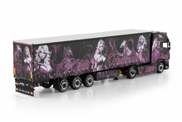 WSI Models 01-4802 Pluta DAF XG+ 4X2 CURTAINSIDE TRAILER - 3 AXLE